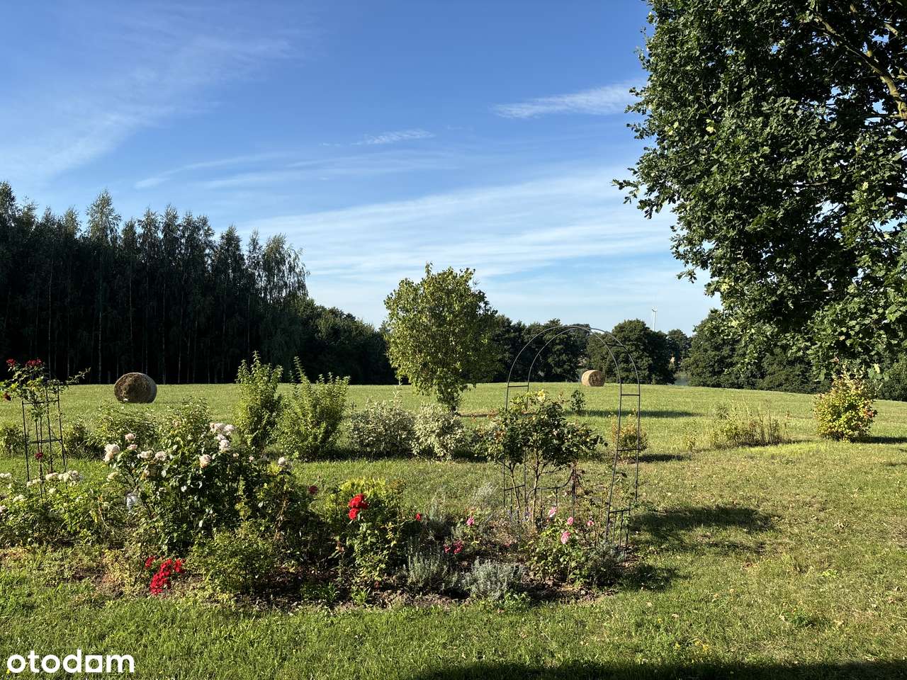 Wyjątkowe siedlisko z domem | Laseczno Małe| Cisza • Natura • Komfort-5