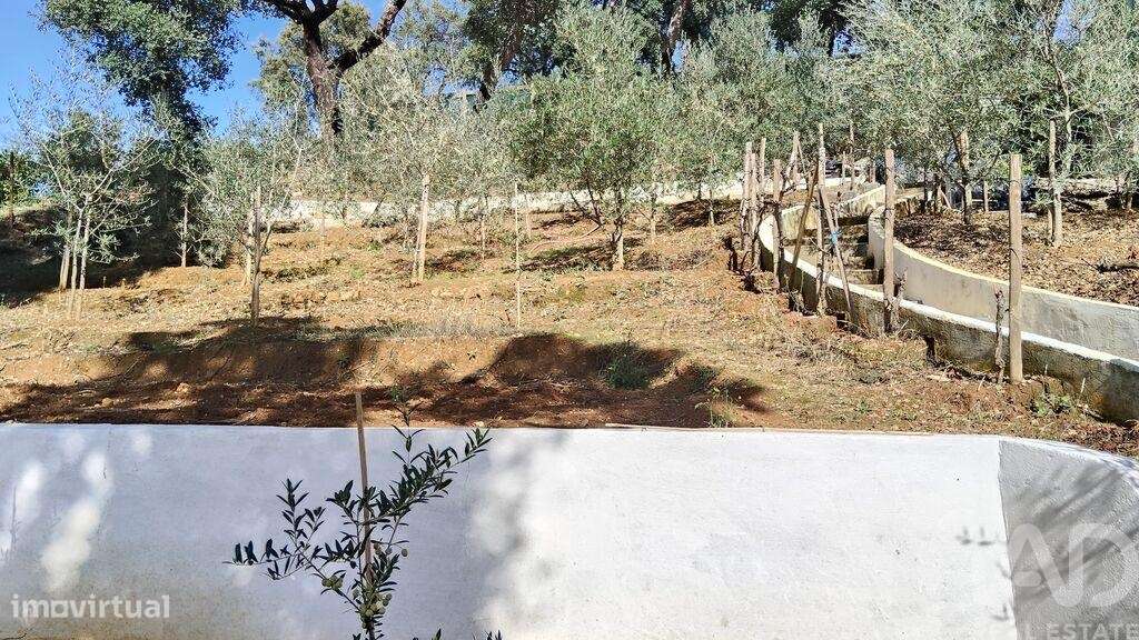 Terreno Agrícola em Pedrógão Pequeno - Grande imagem: 5/32