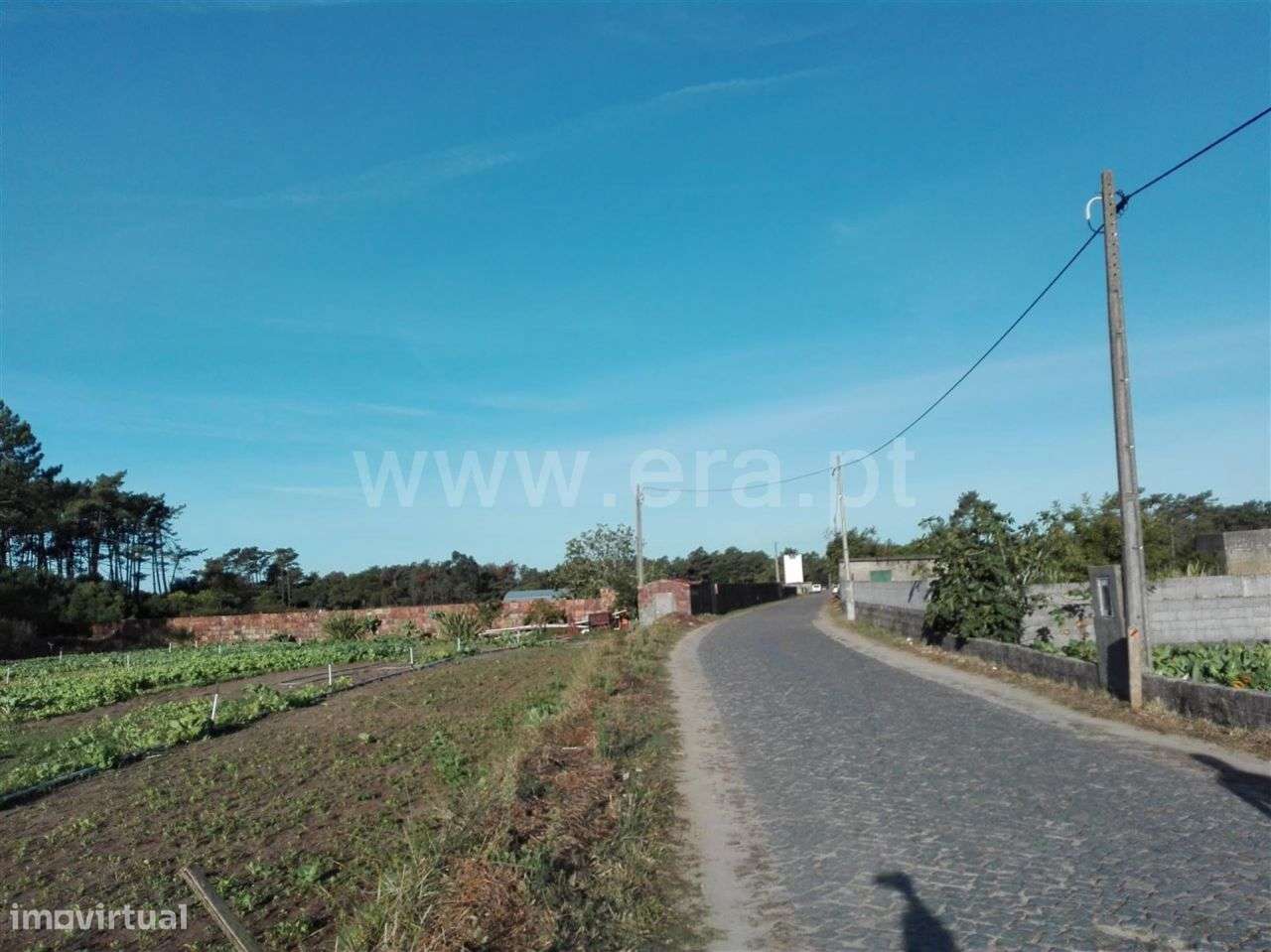 Terreno agrícola, Belinho, Esposende - Grande imagem: 5/6
