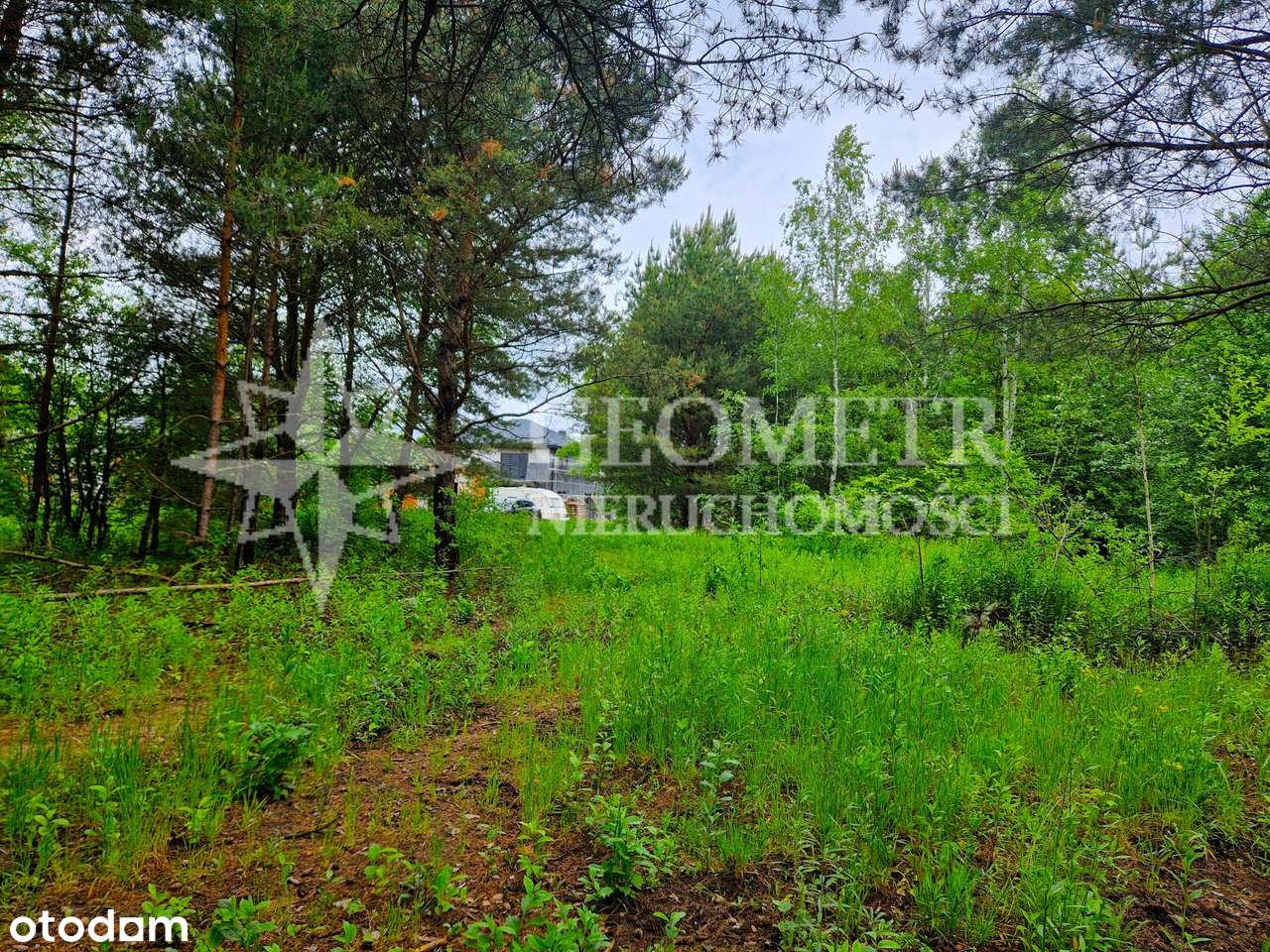 Działka w Jabłonnie ul. Moniuszki - Pełny obrazek: 4/8