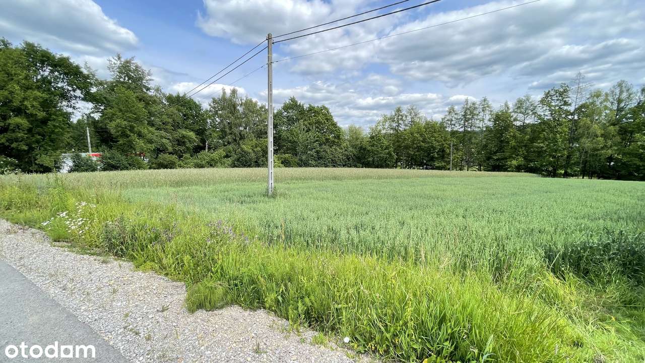 Działka budowlano - usługowa Głogoczów 43 ary-2
