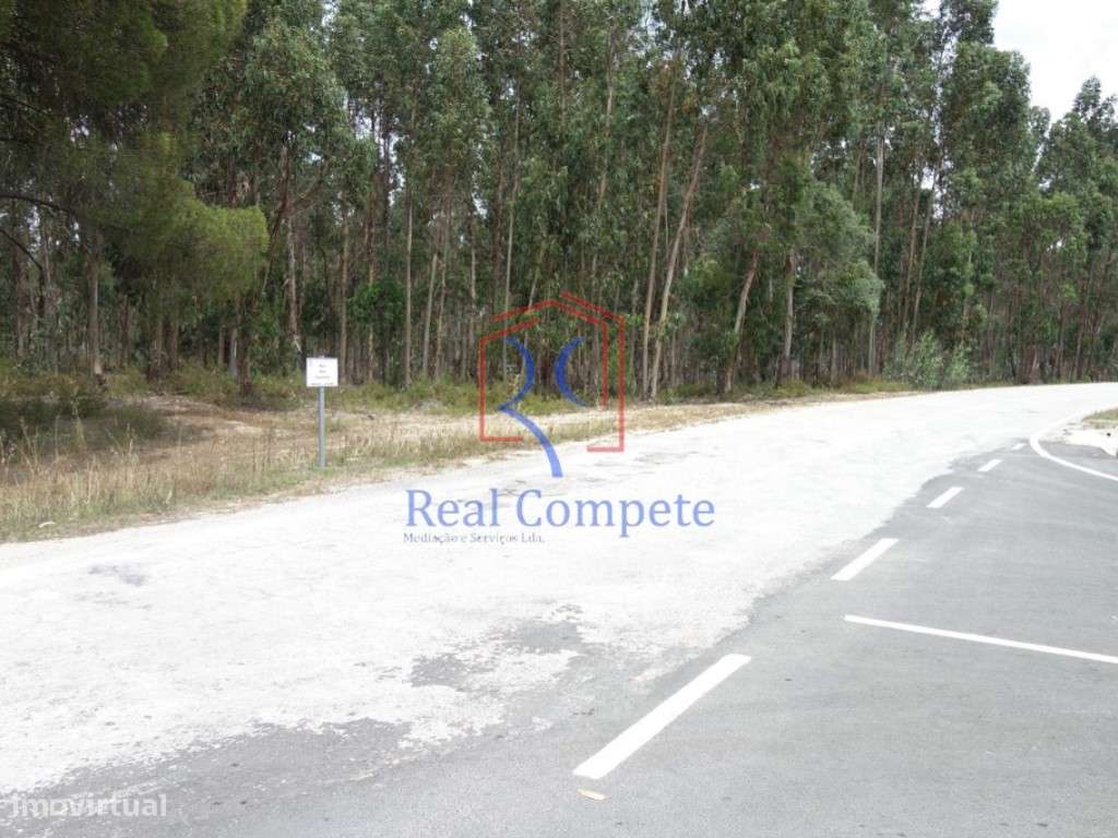 Terreno Urbanizável na Branca, Coruche - Grande imagem: 4/5