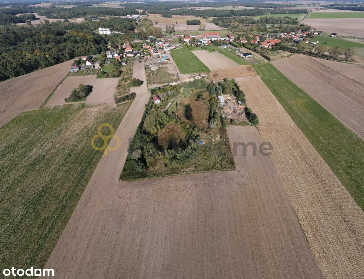 Własna zielona przestrzeń z potencjałem? To tu! - Pełny obrazek: 4/9