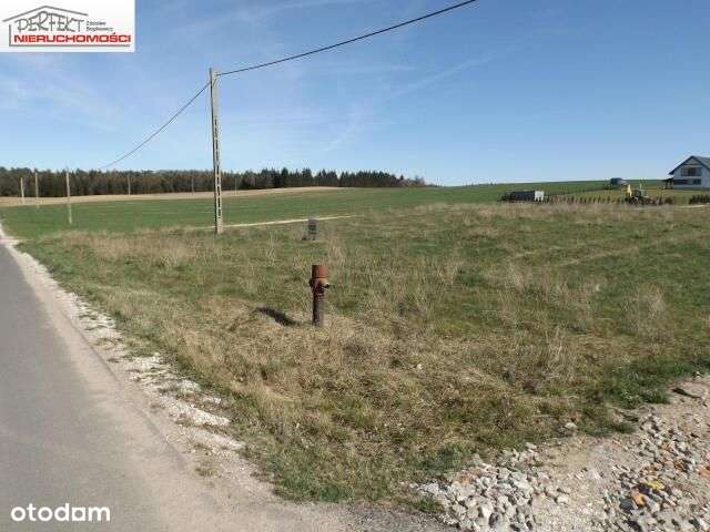 Działki blisko lasu i jeziora. - Pełny obrazek: 4/9