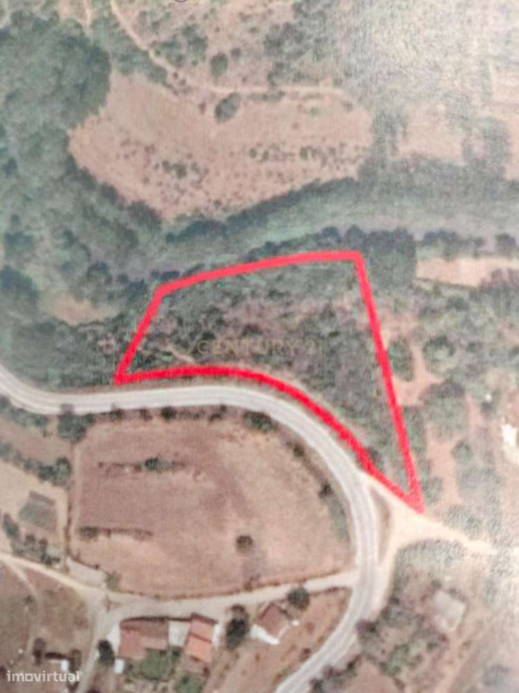 Terreno de 4.500 m² em Meixedo, Bragança — uma oportunidade para um pr-6