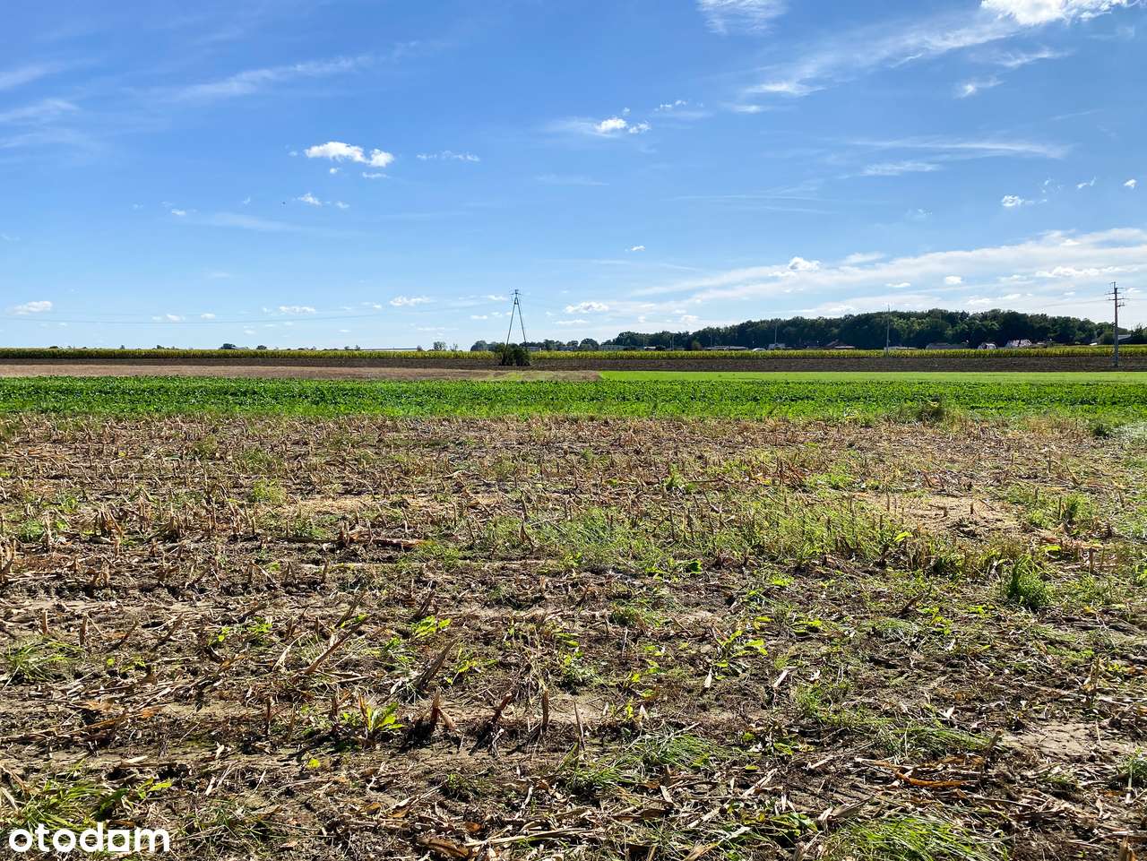 Działka budowlana na sprzedaż w Czaczu - Pełny obrazek: 4/5