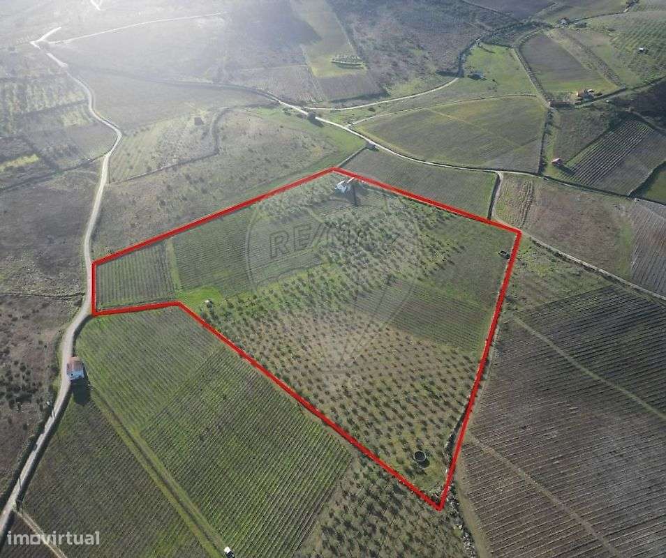 Terreno  para venda - Grande imagem: 3/12