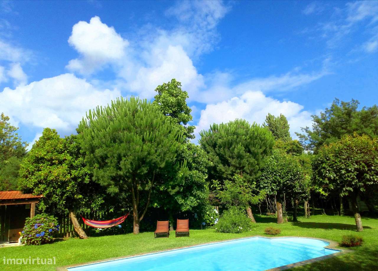 Quinta com Alojamento turístico - Famalicão - 3000m2 area-32
