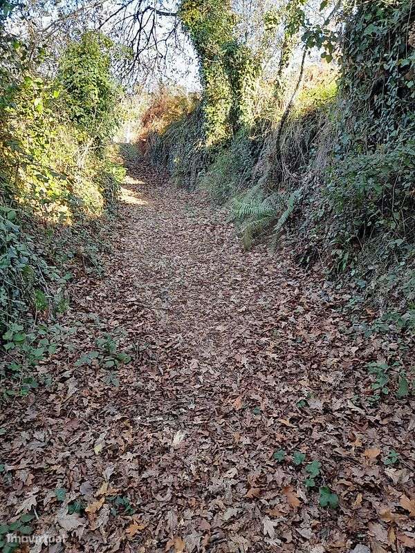 Terreno  para venda - Grande imagem: 5/6