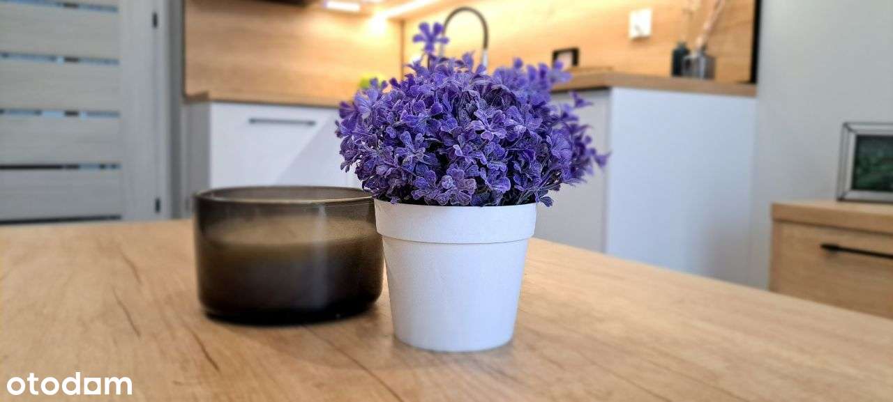 Urządzone - 2 Pokoje - DużyBalkon - Klima - Ogrody - Pełny obrazek: 4/8