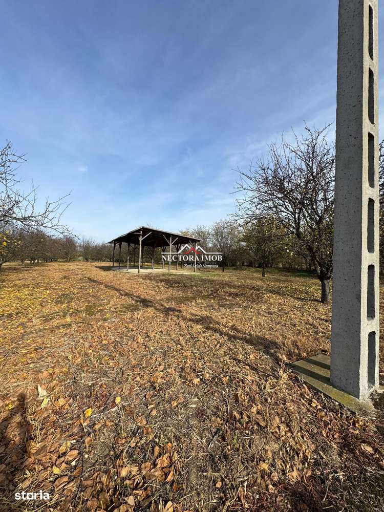NECTORA IMOB-Teren cu livada matura+Anexa racordata la trifazic,9162mp - Imagine principală: 5/9