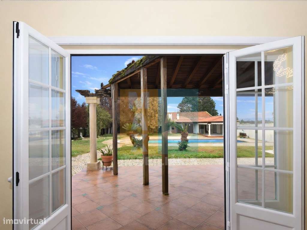 Quinta com 4.880 m2 - Alpiarça-32