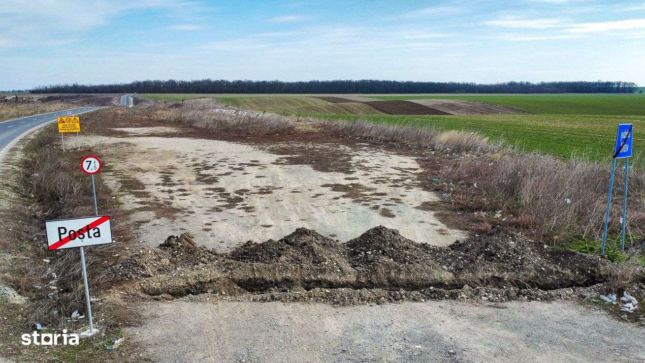 Teren intravilan la asfalt si statie autobuz Ilfov Cernica Posta-10