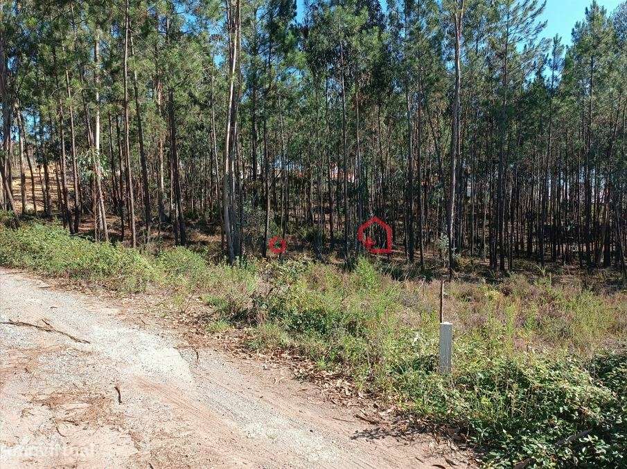 Terreno para Construção | Lote com 5975m2 | Andrinos - Leiria - Grande imagem: 5/15