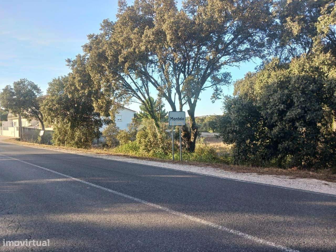 Terreno à Venda em Montelo, Fátima - Grande imagem: 3/9