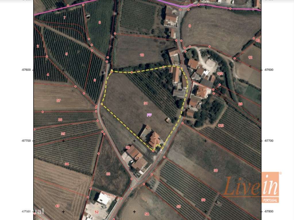 Terreno com PIP Aprovado para 4 Lotes em Localização Privilegiada n... - Grande imagem: 2/3