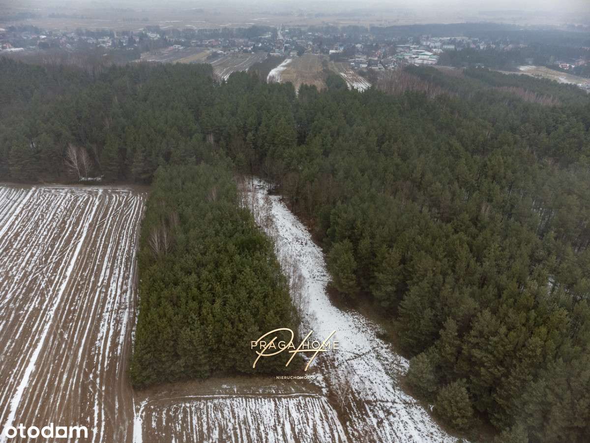 Działka leśna Wyśmierzyce pow. białobrzeski-1