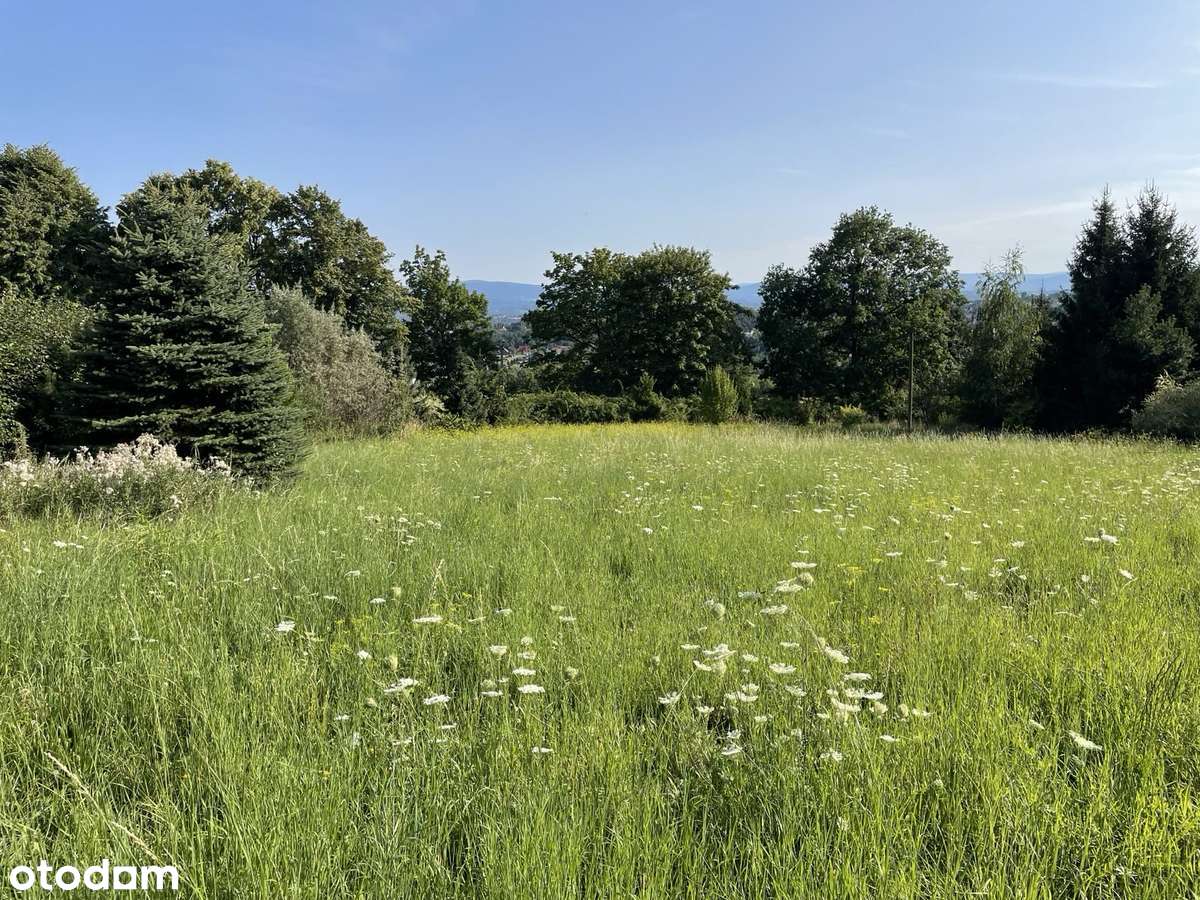 Malownicza działka z widokiem na góry i zielenią - Pełny obrazek: 2/11