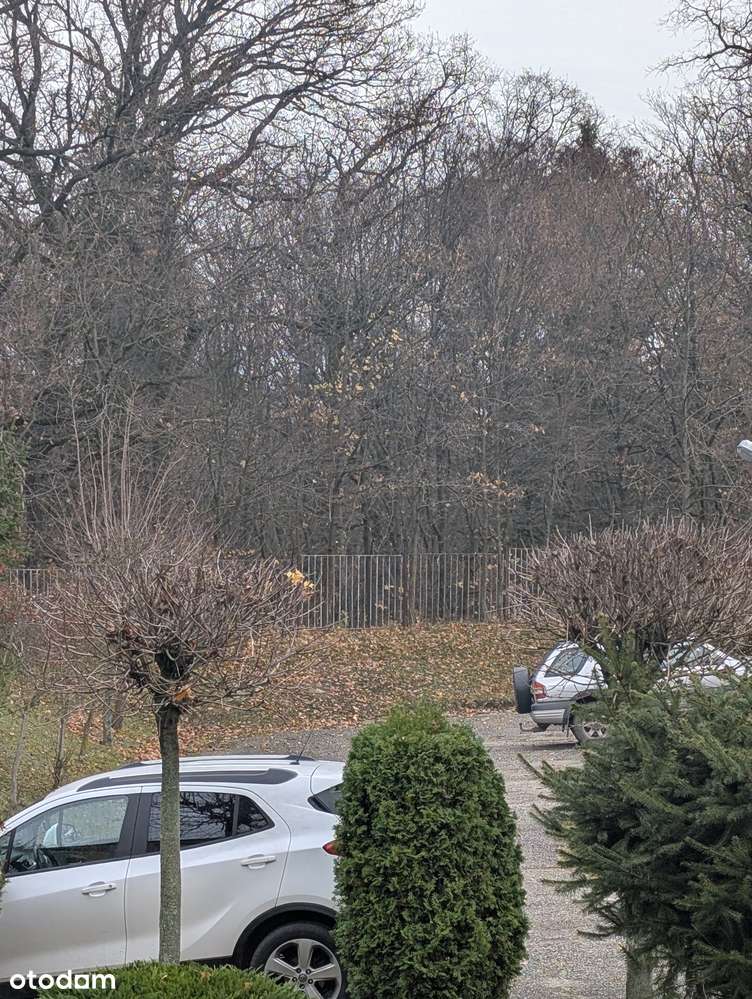 3 pokojowe 67m2 po generalnym remoncie, murowany garaż w cenie - Pełny obrazek: 5/5