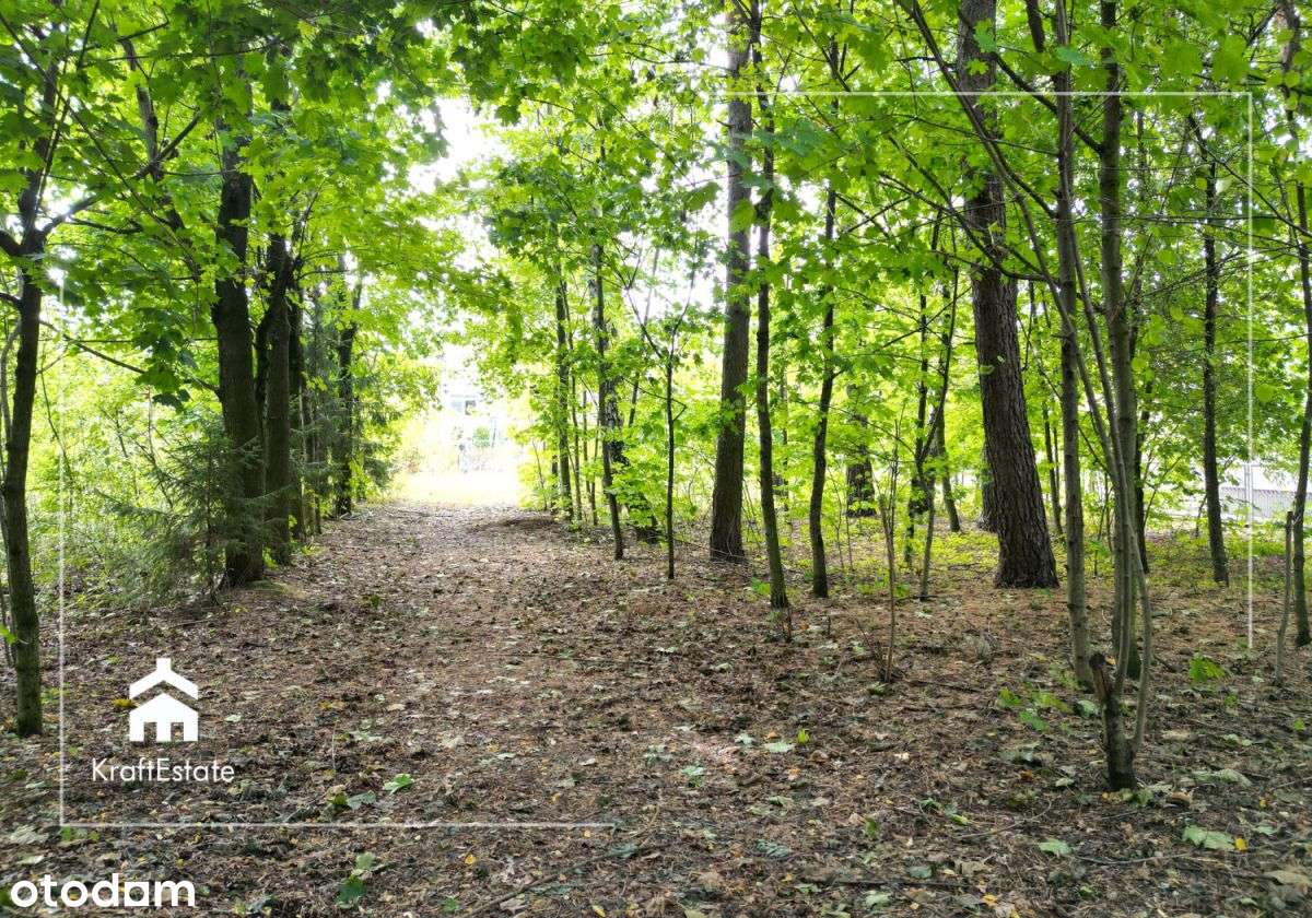 Działka 0,45ha pod Twój wymarzony dom, Żyrzyn - Pełny obrazek: 4/9