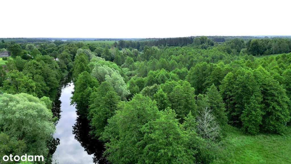 Na sprzedaż działki z widokiem na Kanał Iławski - Pełny obrazek: 4/16