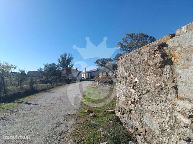 RUÍNA PARA RECUPERAR - CERROS REGUENGOS DE MONSARAZ-5