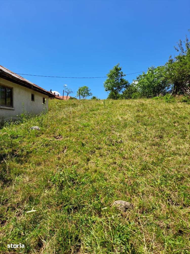 Vanzare teren intravilan+casă bătrânească, zonă turistică, Novac - Imagine principală: 5/12