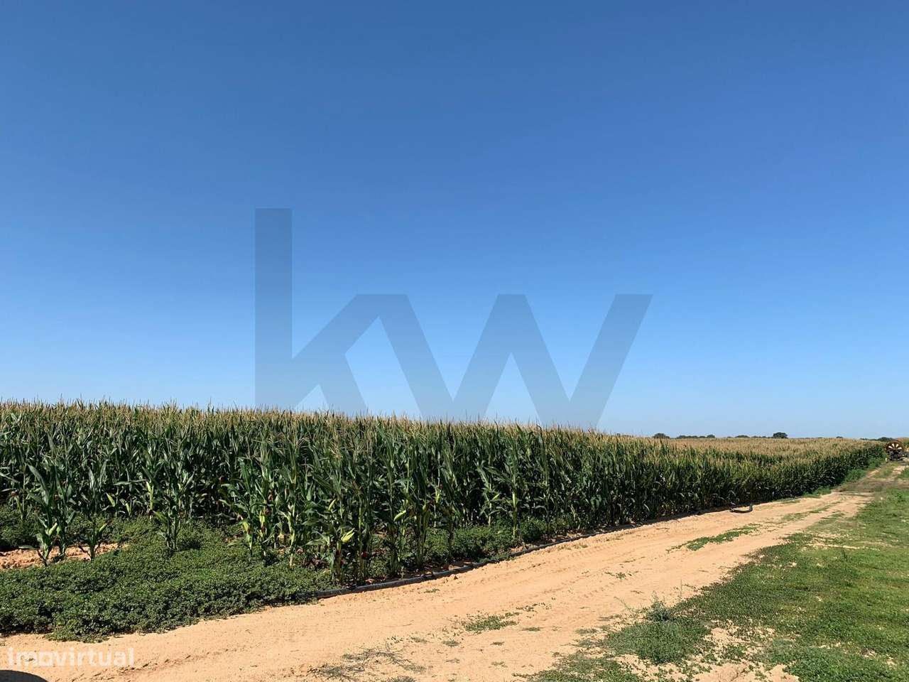 Terreno Rústico com PIP Aprovado – Poceirão e Marateca, Palmela - Grande imagem: 4/9