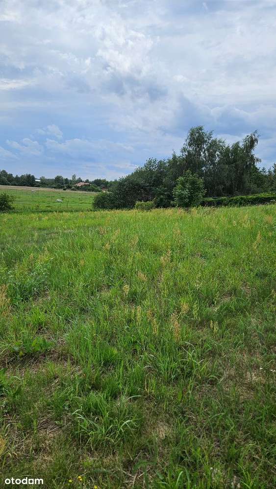 3838m2 piękna działka bud. Zakrzyce, gm. Miękinia-8