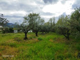 Terreno para construção - Grande imagem: 4/11