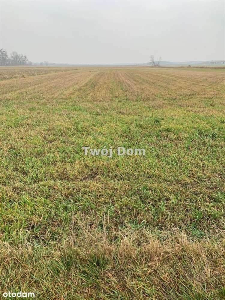 Działka, 1 097 m², Smolniki-1