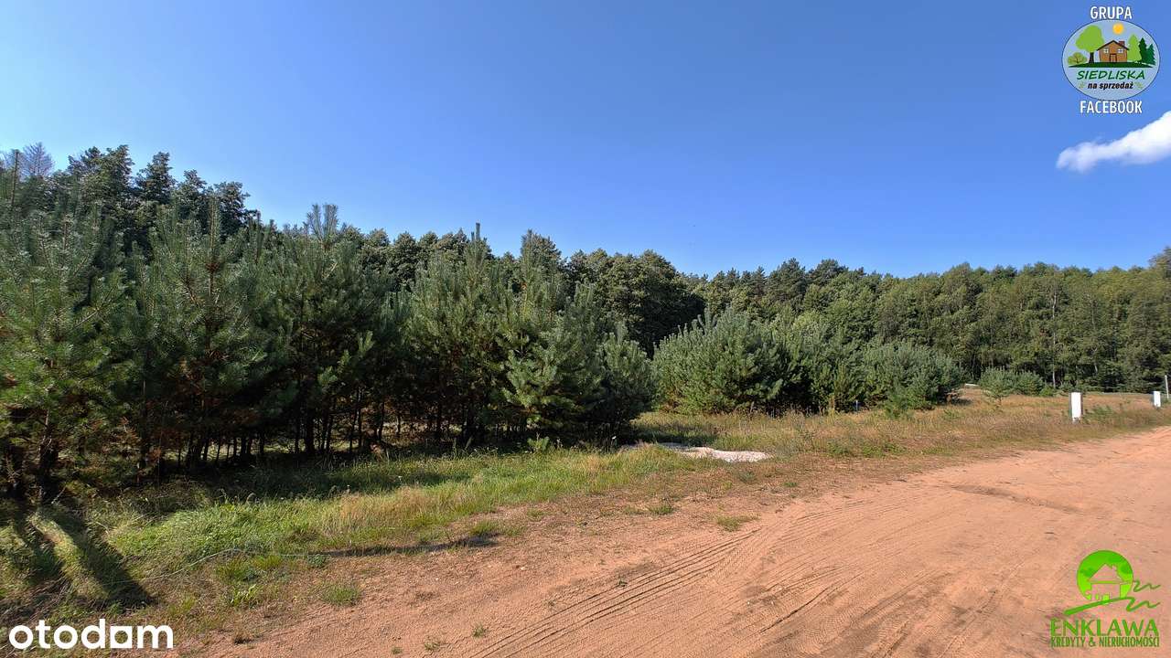 ENKLAWA prezentuje: działka w MEGA okolicy! PUSZCZA NOTECKA + jezioro!-3