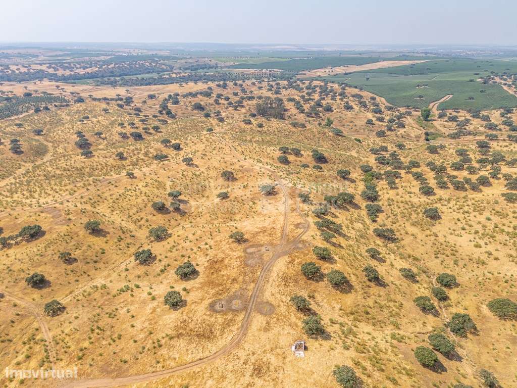 Herdade de 152 hectares em Marmelar, Alentejo - Grande imagem: 5/38