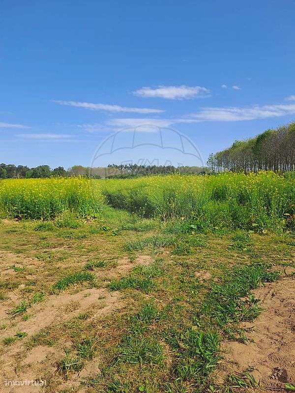 Terreno  para venda - Grande imagem: 5/6