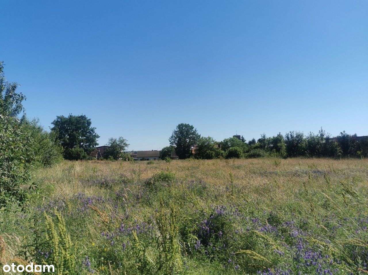 Działki budowlane w centrum (5 szt.)- Lipka-10