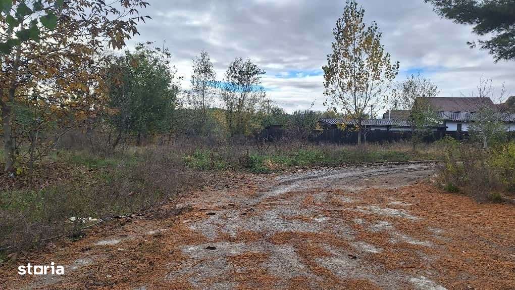 Teren Intravilan Curtea de Arges-1