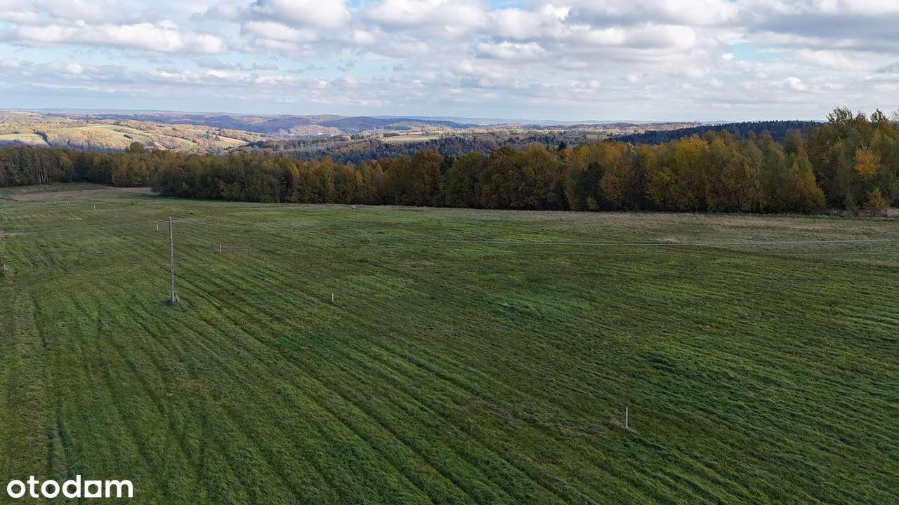 Widokowa działka w Sołonce z WARUNKAMI ZABUDOWY - 19 ar - Pełny obrazek: 5/11