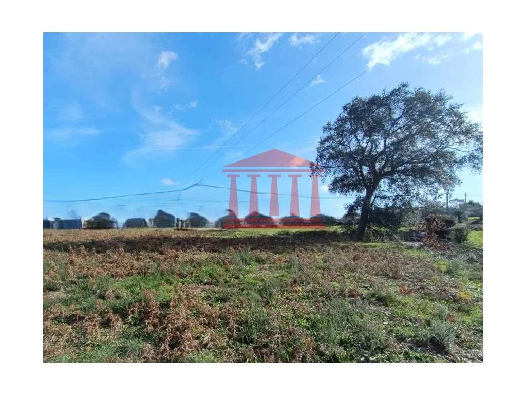 TERRENO PARA CONSTRUÇÃO - Grande imagem: 4/7