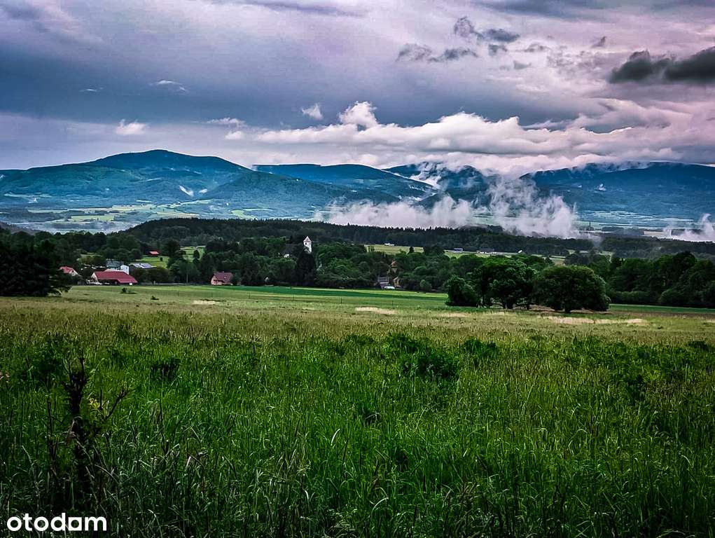 49/13782/OGS - Pełny obrazek: 5/13