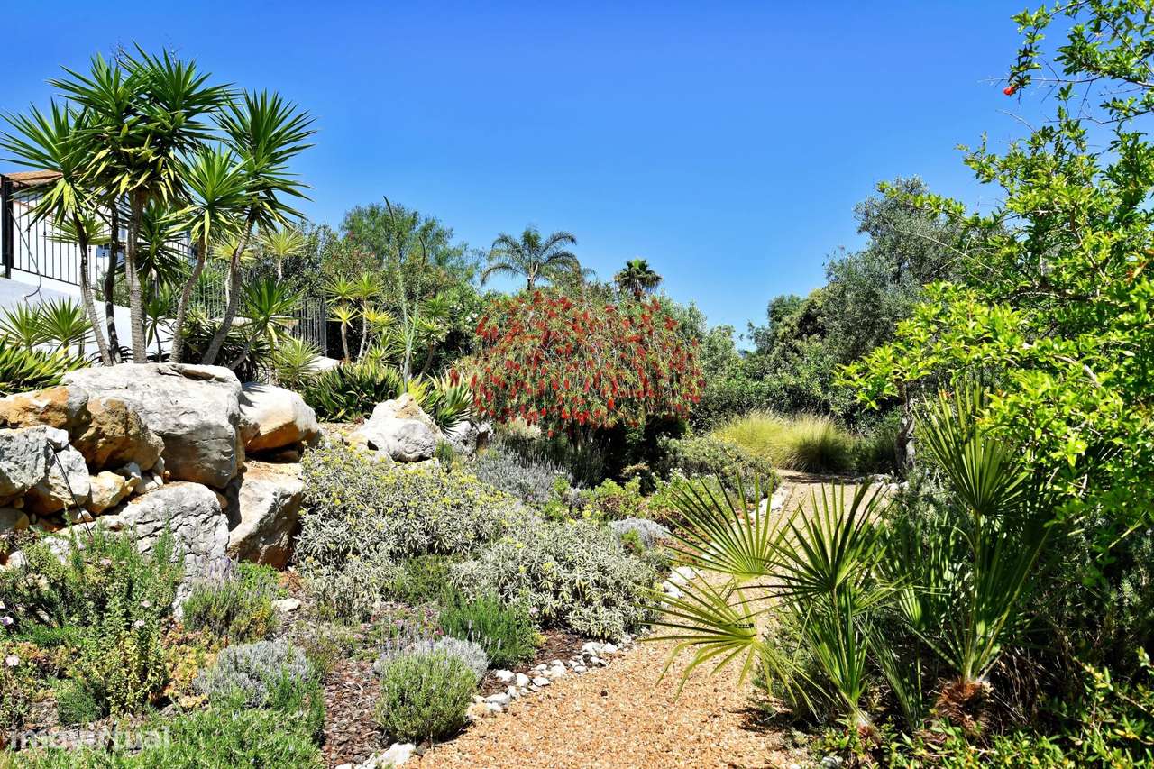 Moradia ampla e confortável com piscina e jardim maduro na primeira li - Grande imagem: 4/60