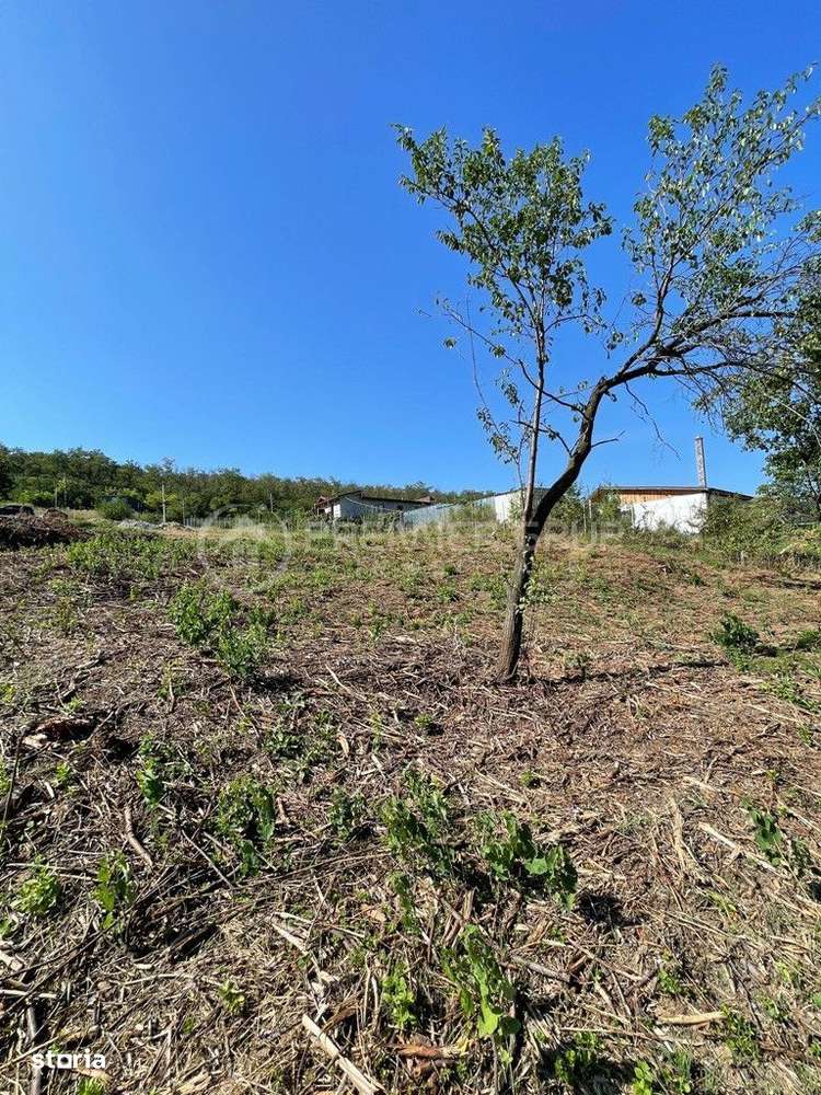 Teren intravilan, Aroneanu, 477mp - Imagine principală: 5/9