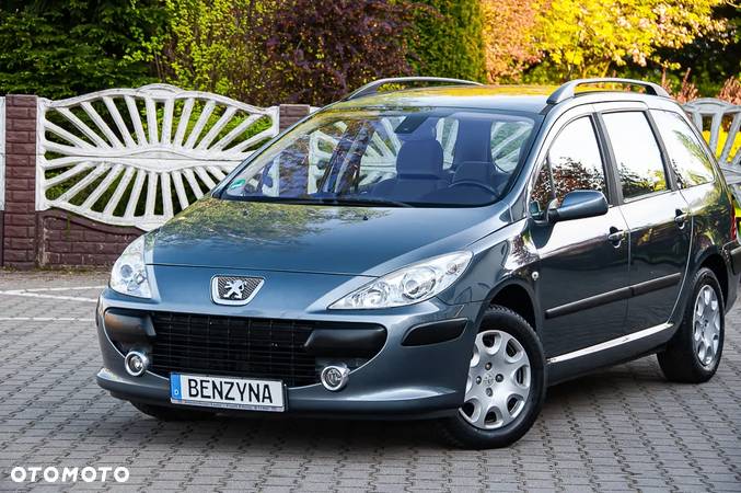 Peugeot 307 - 20