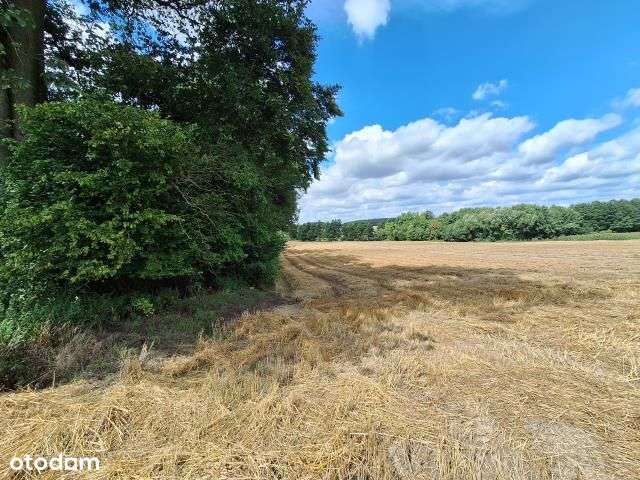 Działka, 4 240 m², Zglinna Duża-11