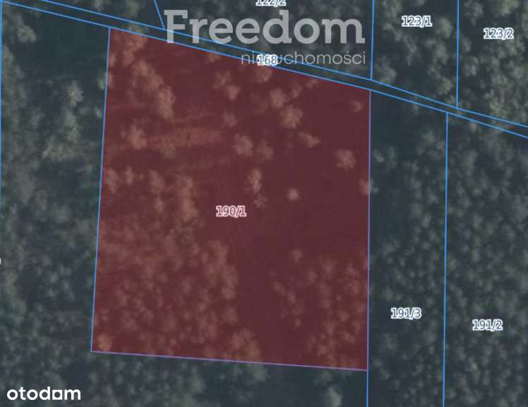 Działka 4000m2 z Warunkami zabudowy - Pełny obrazek: 4/8