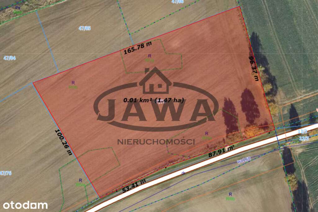 1,5 hektara ziemii rolnej Gliszcz, gmia Sicienko - Pełny obrazek: 5/5