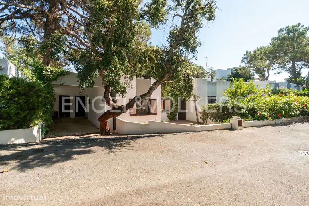 Oportunidade rara: Moradia V3 a 600m da praia - Grande imagem: 5/45