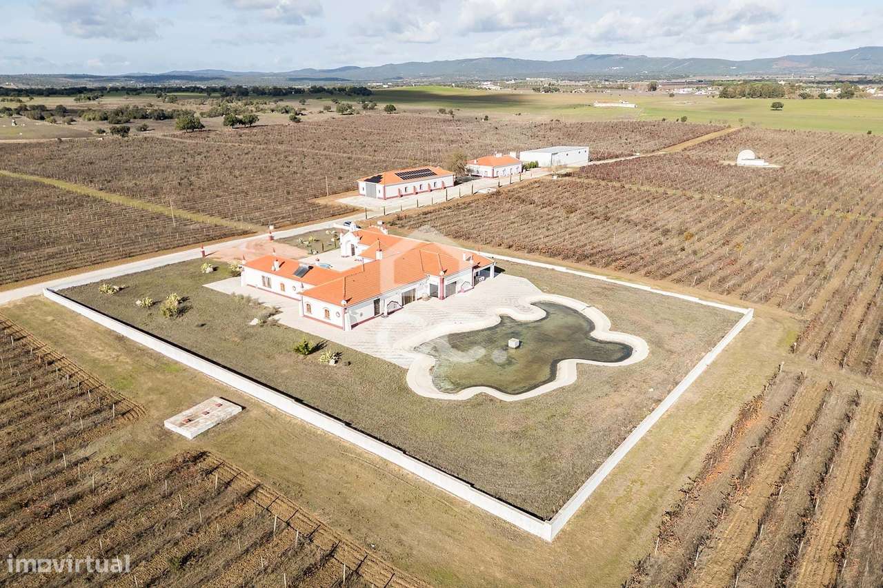 Deslumbrante Herdade de 35,6 ha c/ 3 Moradias e Vinhas | Redondo, Évor - Grande imagem: 5/60