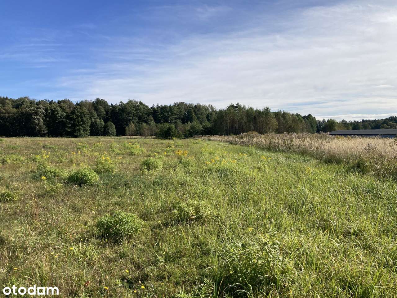Okazja! Gardawice działki produkcyjno- usługowe 40,5 ara plus dojazd - Pełny obrazek: 5/8