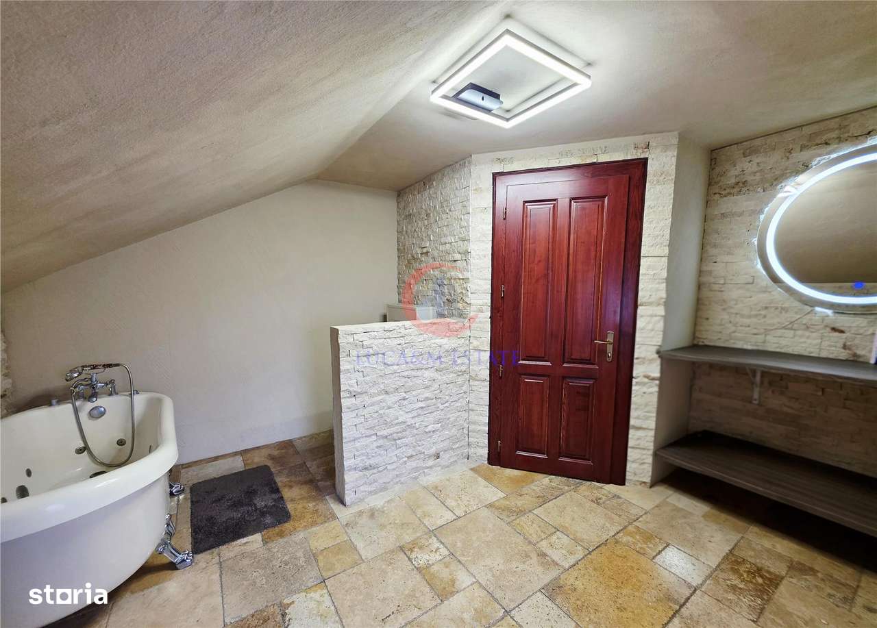 Vila, Cerneteaz, Teren Generos, Casa de Oaspeti, Beci, Garaj-19