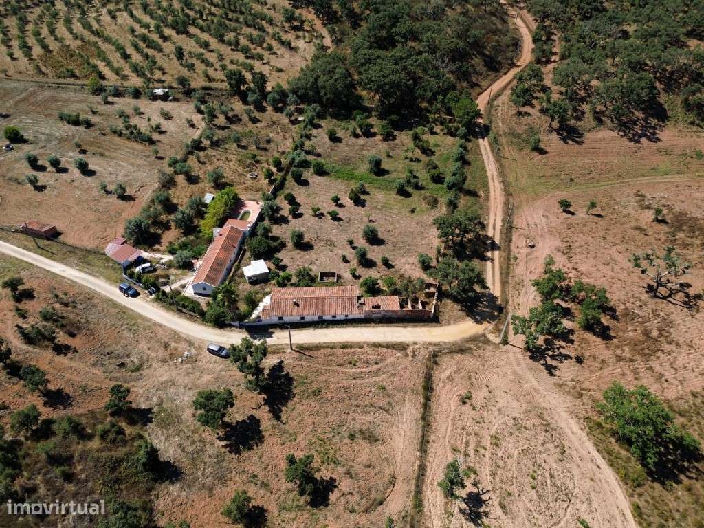 EXCLUSIVO! Quinta com Enorme Potencial no Coração do Alentejo Um Re...-58